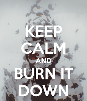 keep-calm-and-burn-it-down-5